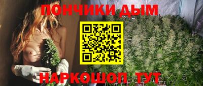 индика Нягань