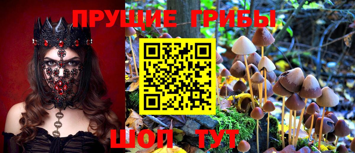 Стрежевой  Псилоцибиновые грибы Magic Shrooms  Галлюциногенные грибы мицелий  Вход с VPN 